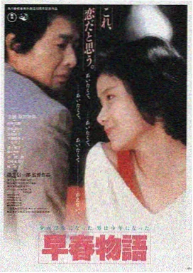 嫂子的职业电影在线观看 高清海报